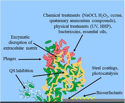 Biofilms in the Food Industry: Health Aspects and Control Methods